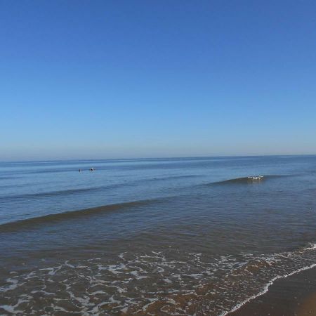Zomerhuis Wonders Zandvoort Buitenkant foto