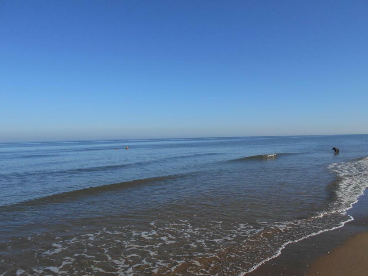 Zomerhuis Wonders Zandvoort Buitenkant foto